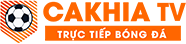 kết quả bóng đá pháp