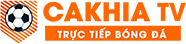 kết quả bóng đá pháp